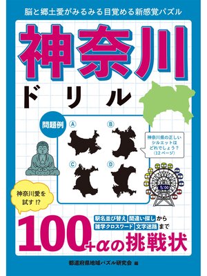 cover image of 神奈川ドリル